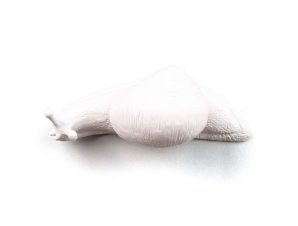 Κρεμάστρα Slow Snail 3 White Seletti